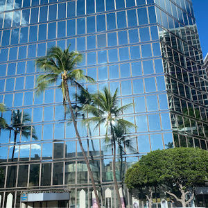 Meet your Posher, Breanna e.m.